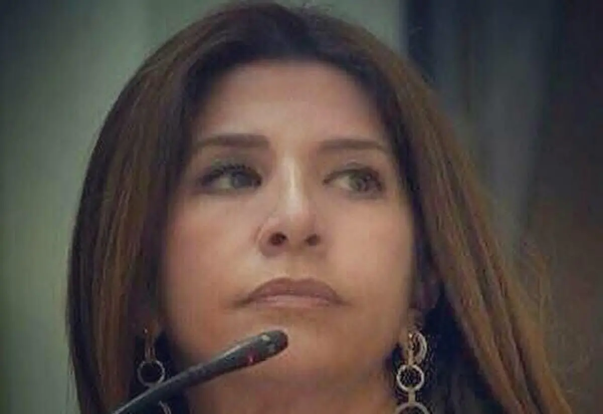 Reggio, Postorino (FI): «Città “esclusiva” con Peba\u00A0mai realizzato e Smart City incompiuta»\n