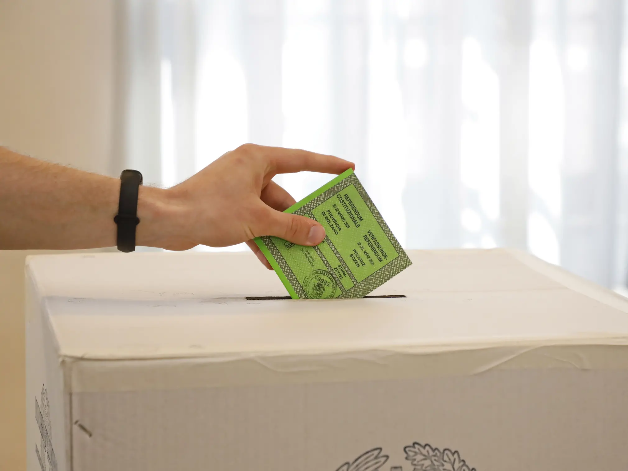 Referendum, la Calabria boccia il governo (e la riforma): il No quasi al 57% vince dappertutto tranne a Reggio