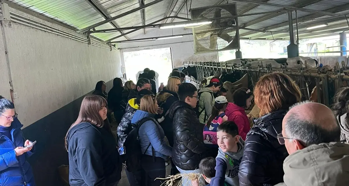 A Gerace la giornata inclusiva all’Agriturismo Barone Macrì\u00A0per trenta famiglie dell’ats di Polistena\n