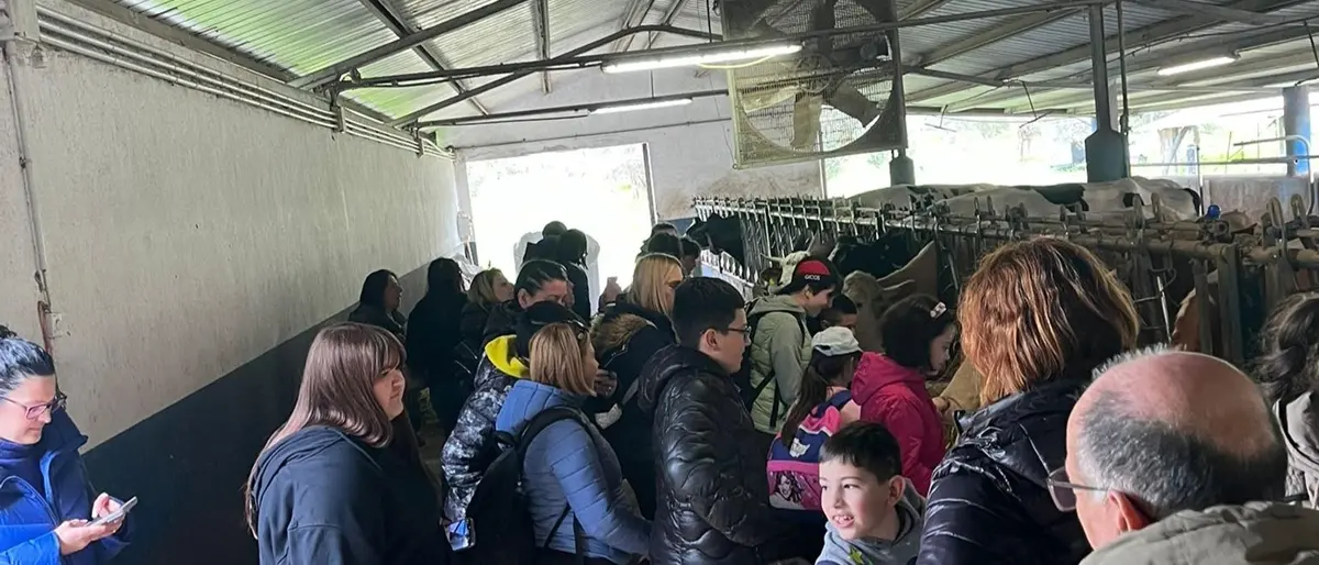 A Gerace la giornata inclusiva all’Agriturismo Barone Macrì\u00A0per trenta famiglie dell’ats di Polistena\n