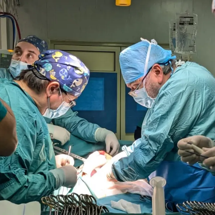 <p>Dalla paura alla speranza dopo un intervento di 5 ore a Catanzaro: «La buona sanità in Calabria esiste, vi racconto la mia storia»</p>
