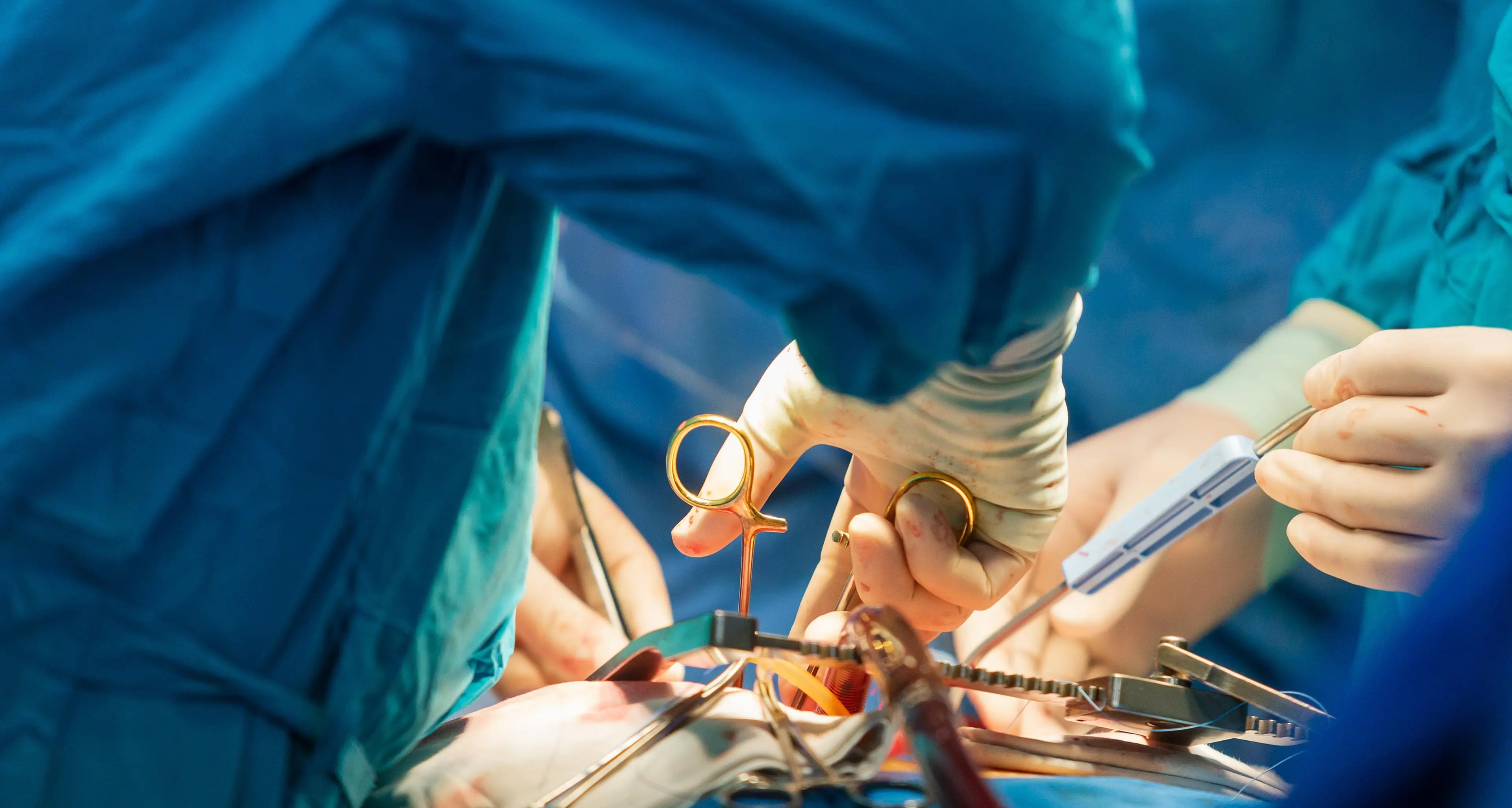 Record di trapianti nel 2025, Schillaci:\u00A0«Fra i\u00A0primi\u00A0in Europa ma ancora troppi giovani negano il consenso alla donazione»\n