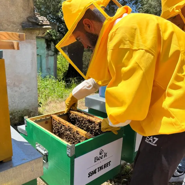 Apicoltura e miele di Calabria: a Palmi un convegno su valorizzazione e difesa del settore\n