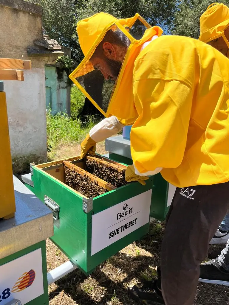 Apicoltura e miele di Calabria: a Palmi un convegno su valorizzazione e difesa del settore\n