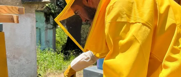 Apicoltura e miele di Calabria: a Palmi un convegno su valorizzazione e difesa del settore\n