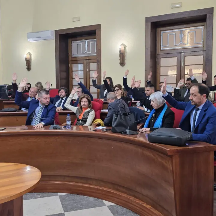 Depositi costieri, la maggioranza blinda Romeo: «Svolta epocale\u00A0per Vibo Marina, ora la delocalizzazione è possibile»\n