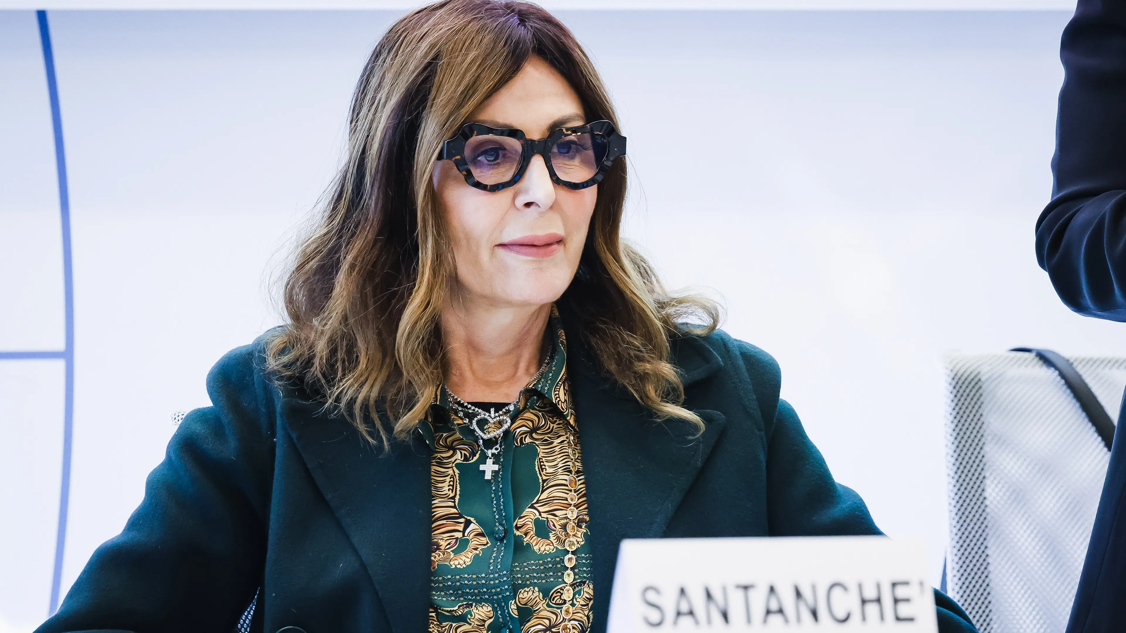 Daniela Santanch\\u00E9, foto di repertorio