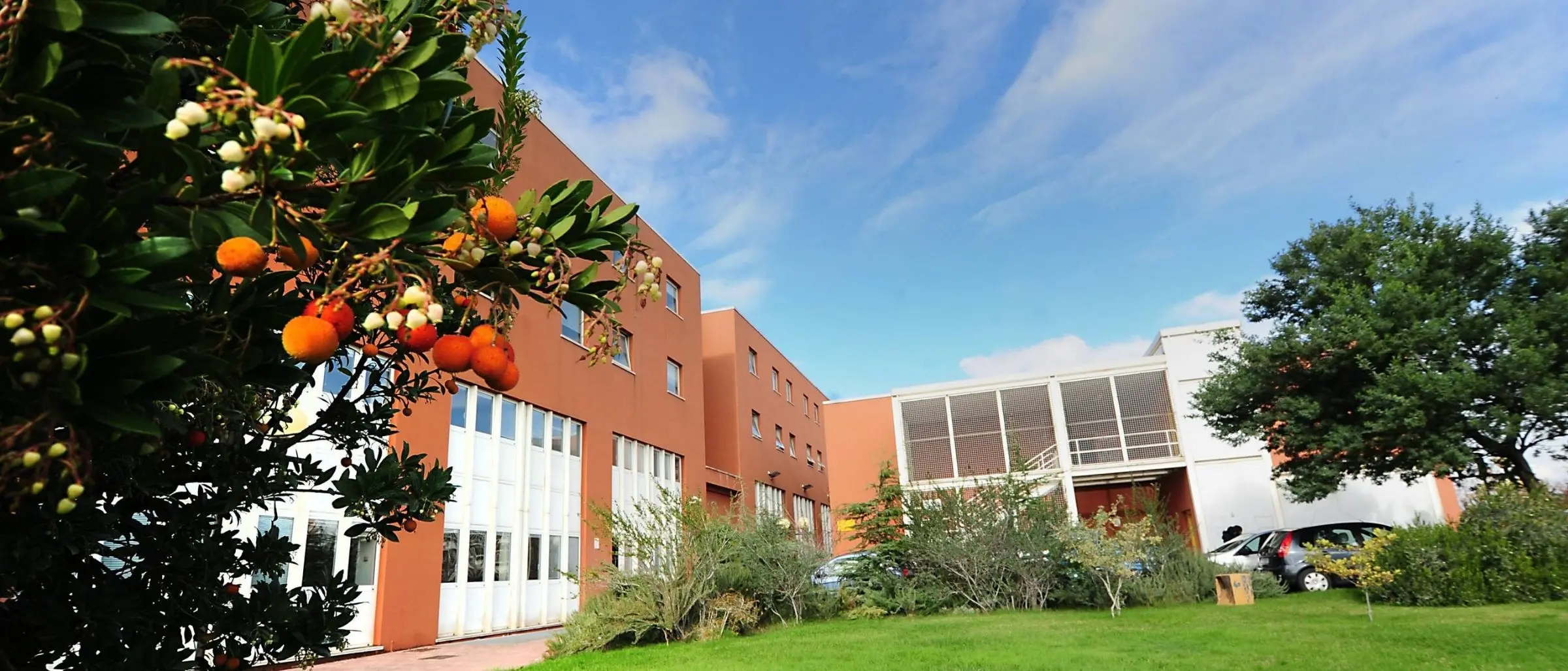 Unical traino di restanza: il 44% degli immatricolati calabresi sceglie Arcavacata\n