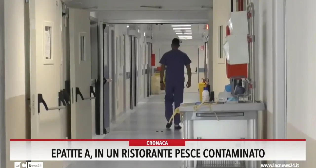 Epatite, in un ristorante pesce contaminato