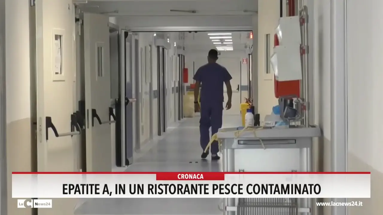 Epatite, in un ristorante pesce contaminato