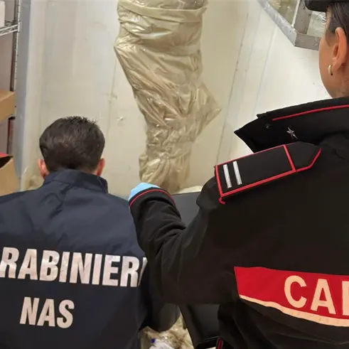 Una tonnellata di alimenti scaduti a Lamezia Terme, sequestri in un negozio: sanzionato il titolare e sospesa l’attività\n