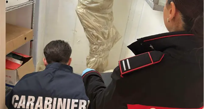 Una tonnellata di alimenti scaduti a Lamezia Terme, sequestri in un negozio: sanzionato il titolare e sospesa l’attività\n