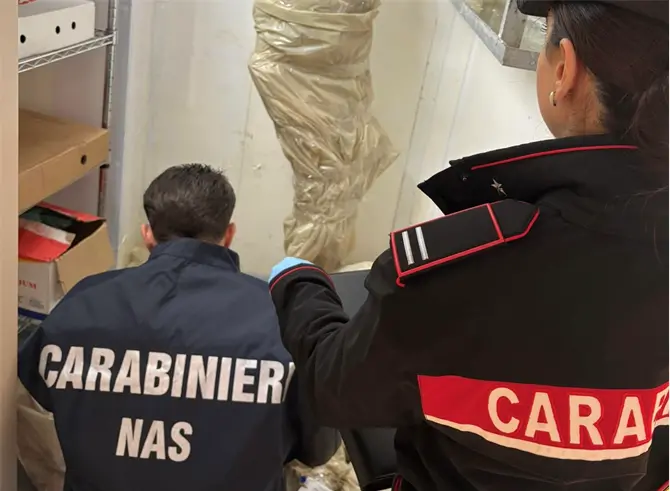 Una tonnellata di alimenti scaduti a Lamezia Terme, sequestri in un negozio: sanzionato il titolare e sospesa l’attività\n