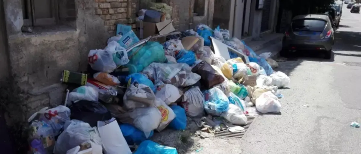 Reggio, il SUL denuncia: «Raccolta in peggioramento, servono interventi urgenti»\n