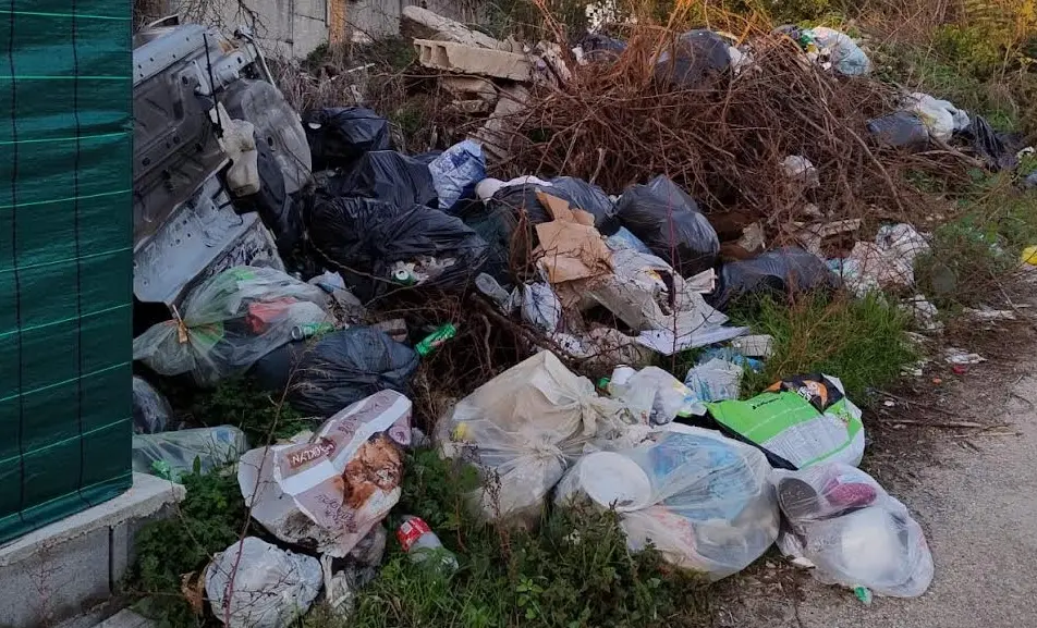 Rifiuti a Rosarno, la minoranza: «Città lasciata all’incuria e al degrado»\n