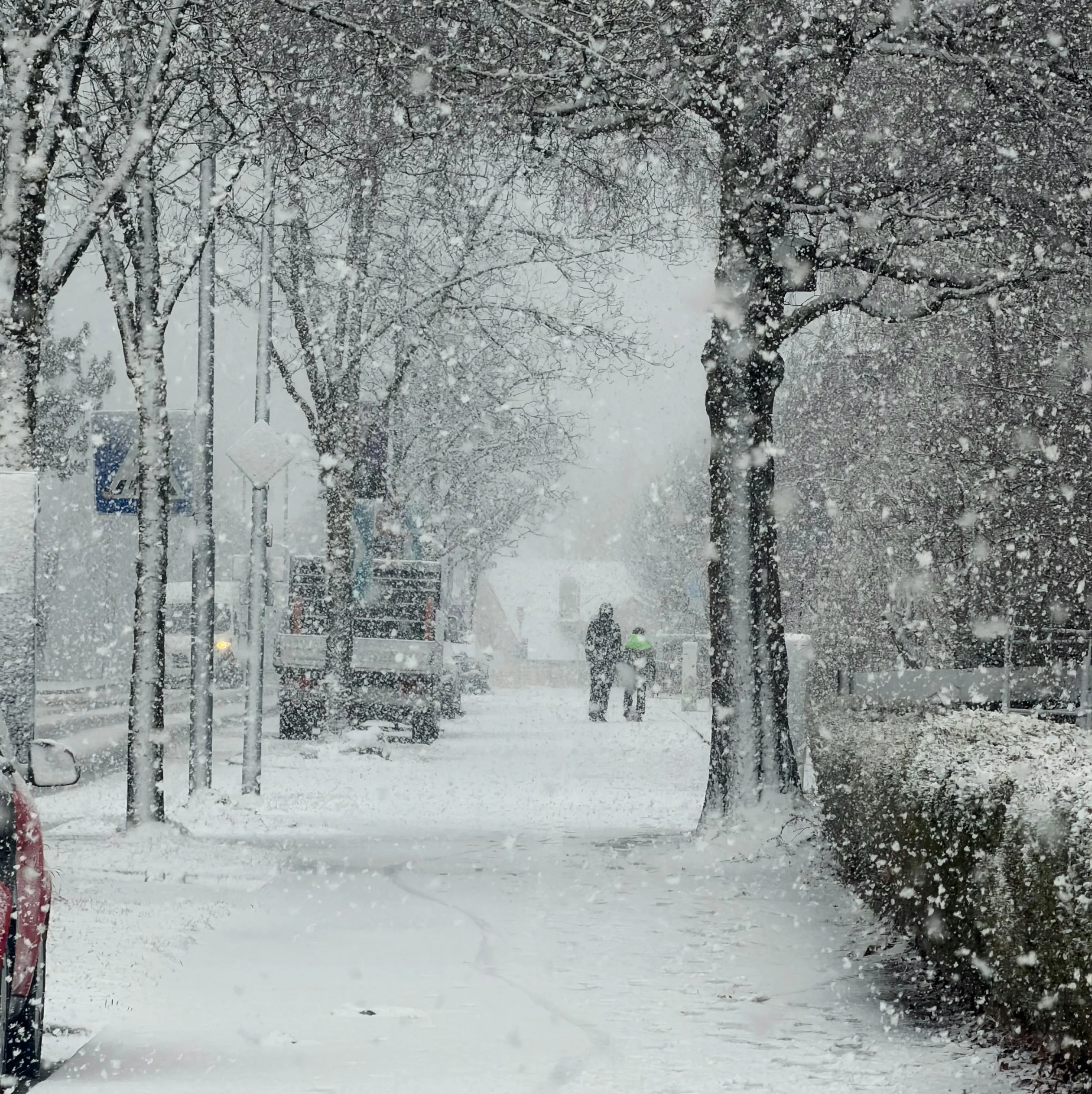 È primavera ma torna l’inverno, dall’Artico arriva il ciclone Deborah: in Calabria pioggia, neve e tanto freddo\n