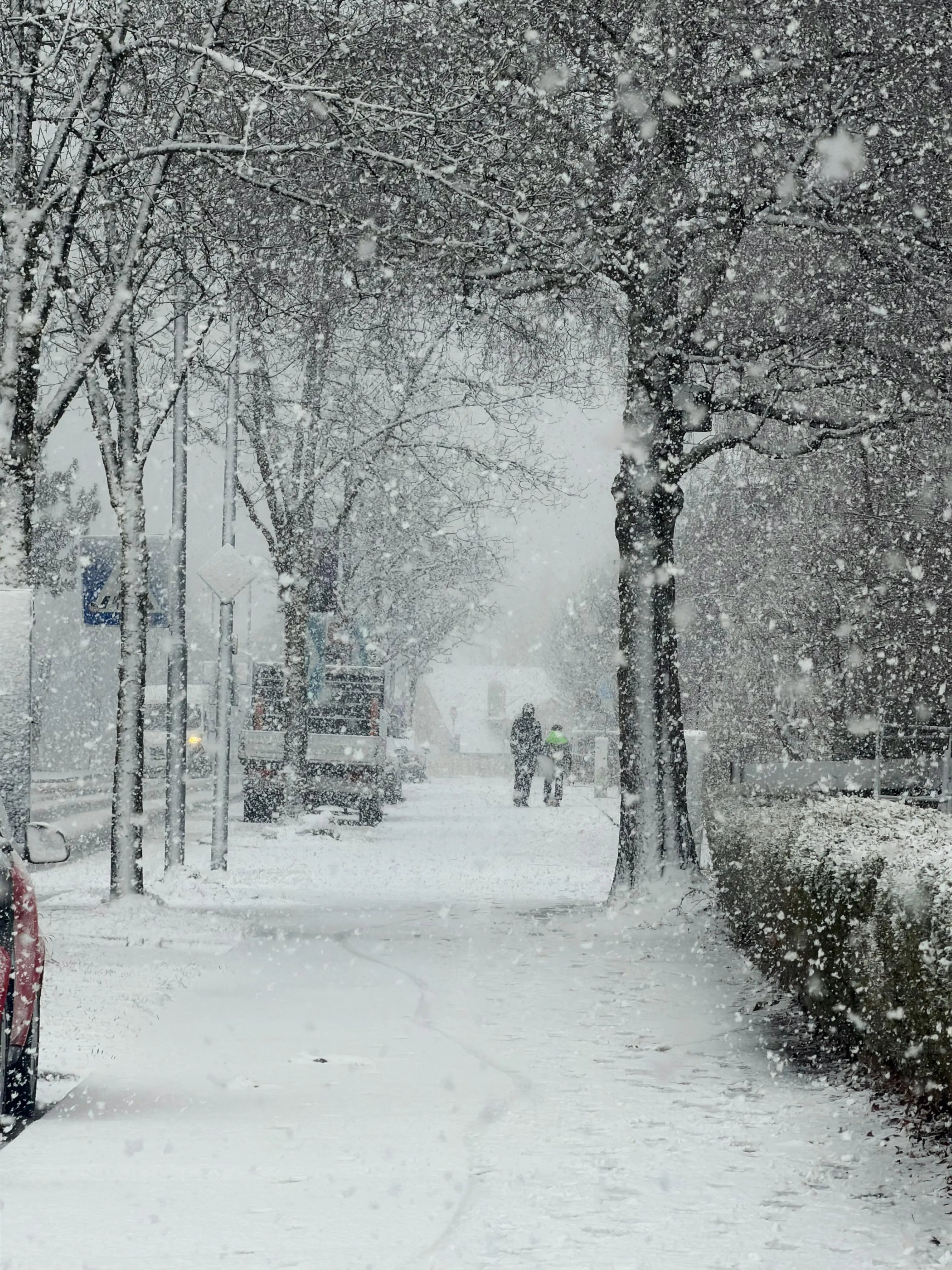 È primavera ma torna l’inverno, dall’Artico arriva il ciclone Deborah: in Calabria pioggia, neve e tanto freddo\n