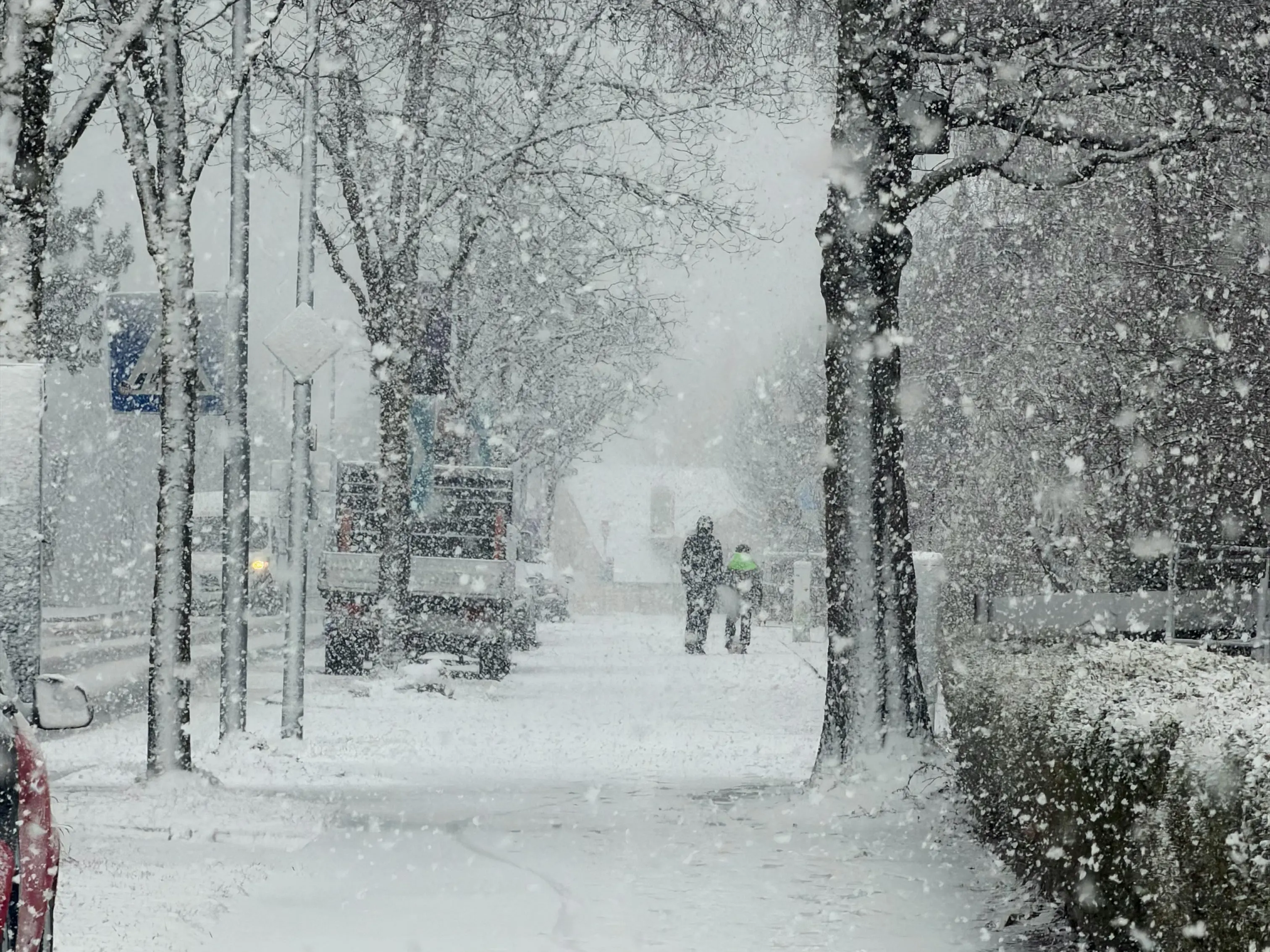 È primavera ma torna l’inverno, dall’Artico arriva il ciclone Deborah: in Calabria pioggia, neve e tanto freddo