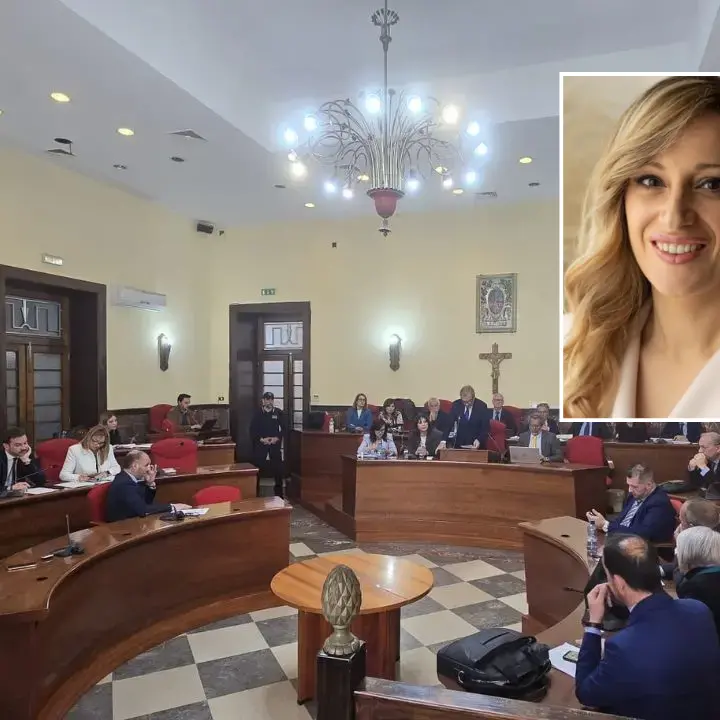 Vibo, Fiorillo lascia la carica di vice capogruppo del Pd in polemica con la nomina di Pugliese alla guida dei dem\n