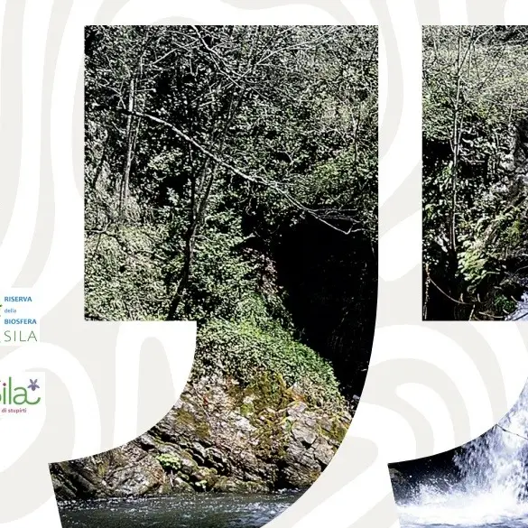 Al Mabos torna SENSE – Festival della Sila Autentica, tra arte, natura e identità\n