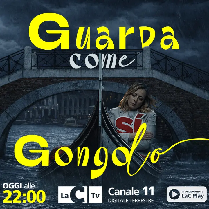 Guarda come gongolo (dopo il trionfo del No)! Scorie e scenari post-referendum sulla Giustizia a Perfidia\n