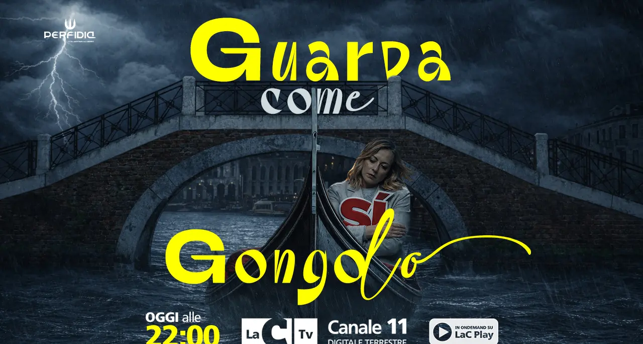 Guarda come gongolo (dopo il trionfo del No)! Scorie e scenari post-referendum sulla Giustizia a Perfidia\n