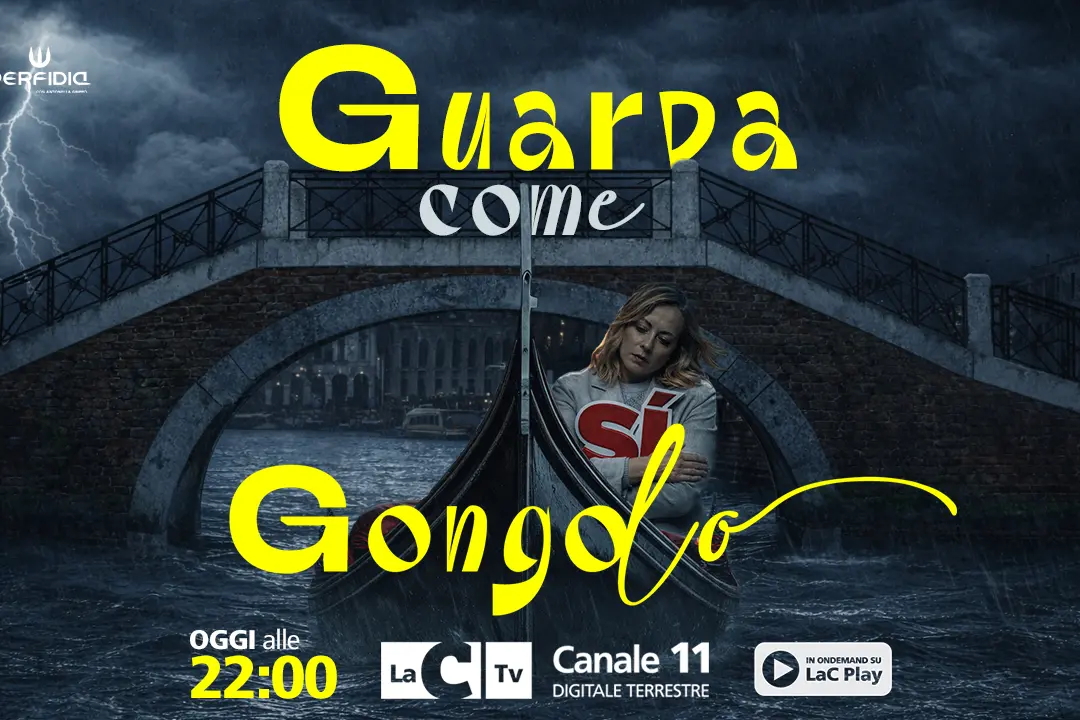 Guarda come gongolo (dopo il trionfo del No)! Scorie e scenari post-referendum sulla Giustizia a Perfidia\n