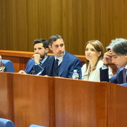 Fondi europei alla difesa, il Pd\u00A0attacca: «In Calabria la priorità è la sanità»\n