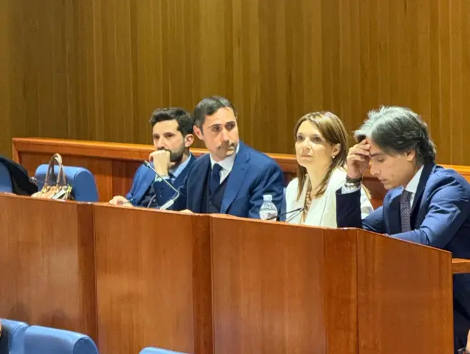 Fondi europei alla difesa, il Pd\u00A0attacca: «In Calabria la priorità è la sanità»\n