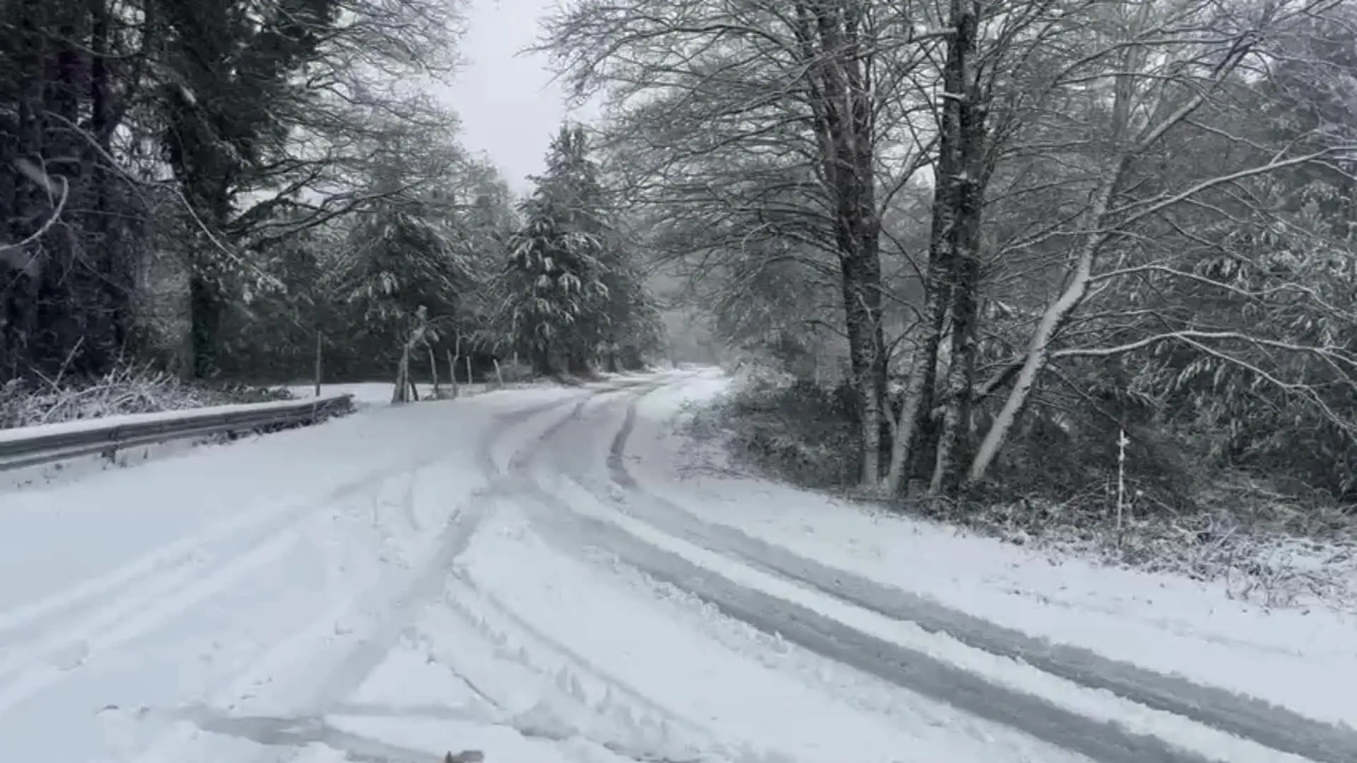 È primavera, ma la neve torna a imbiancare le Serre vibonesi