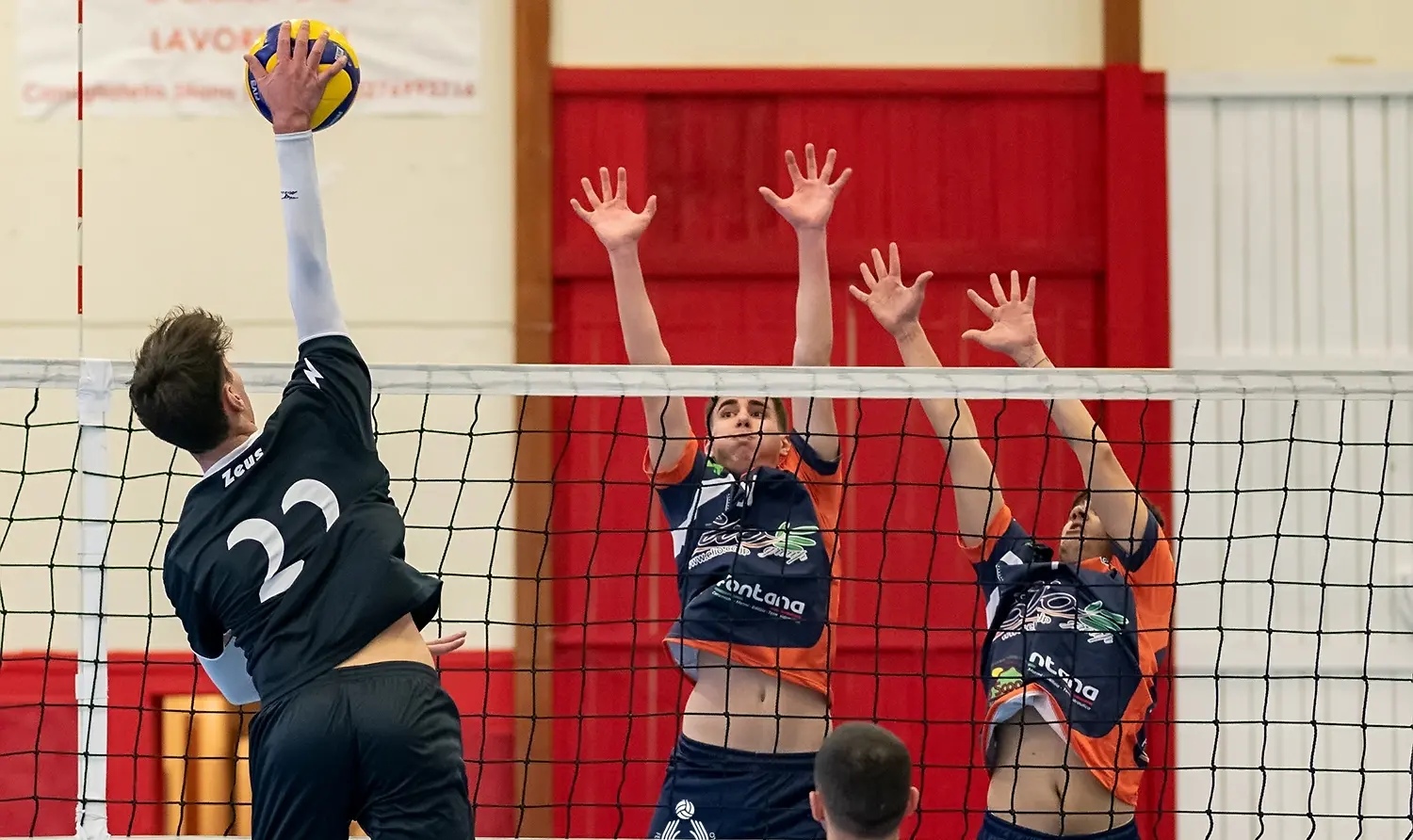 Coppa Calabria di Volley: Cetraro ospita Pianopoli, Umipas e San Giovanni in Fiore\n