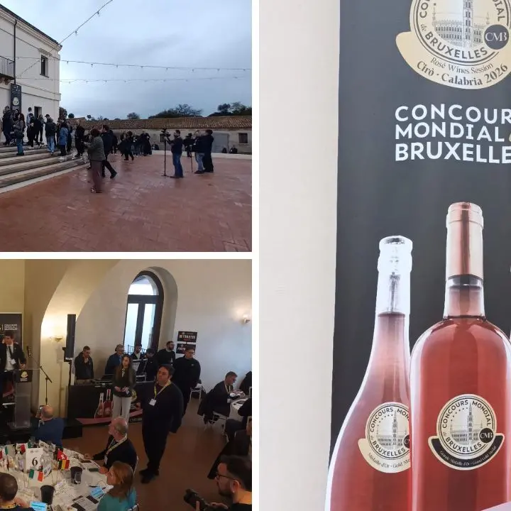 <p>Cirò per tre giorni capitale del vino rosato: 55 giudici internazionali per il Concours mondial de Bruxelles</p>