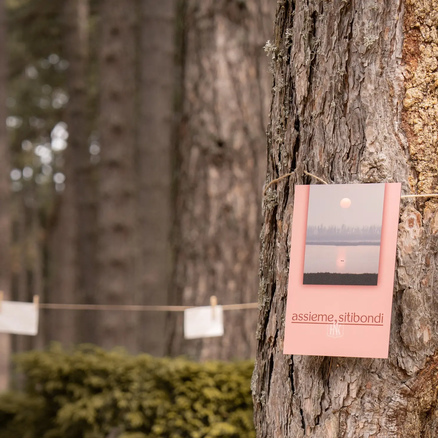 Dalla Sila all’Italia, le parole che diventano semi: l’Hyle Book Festival mette radici\n