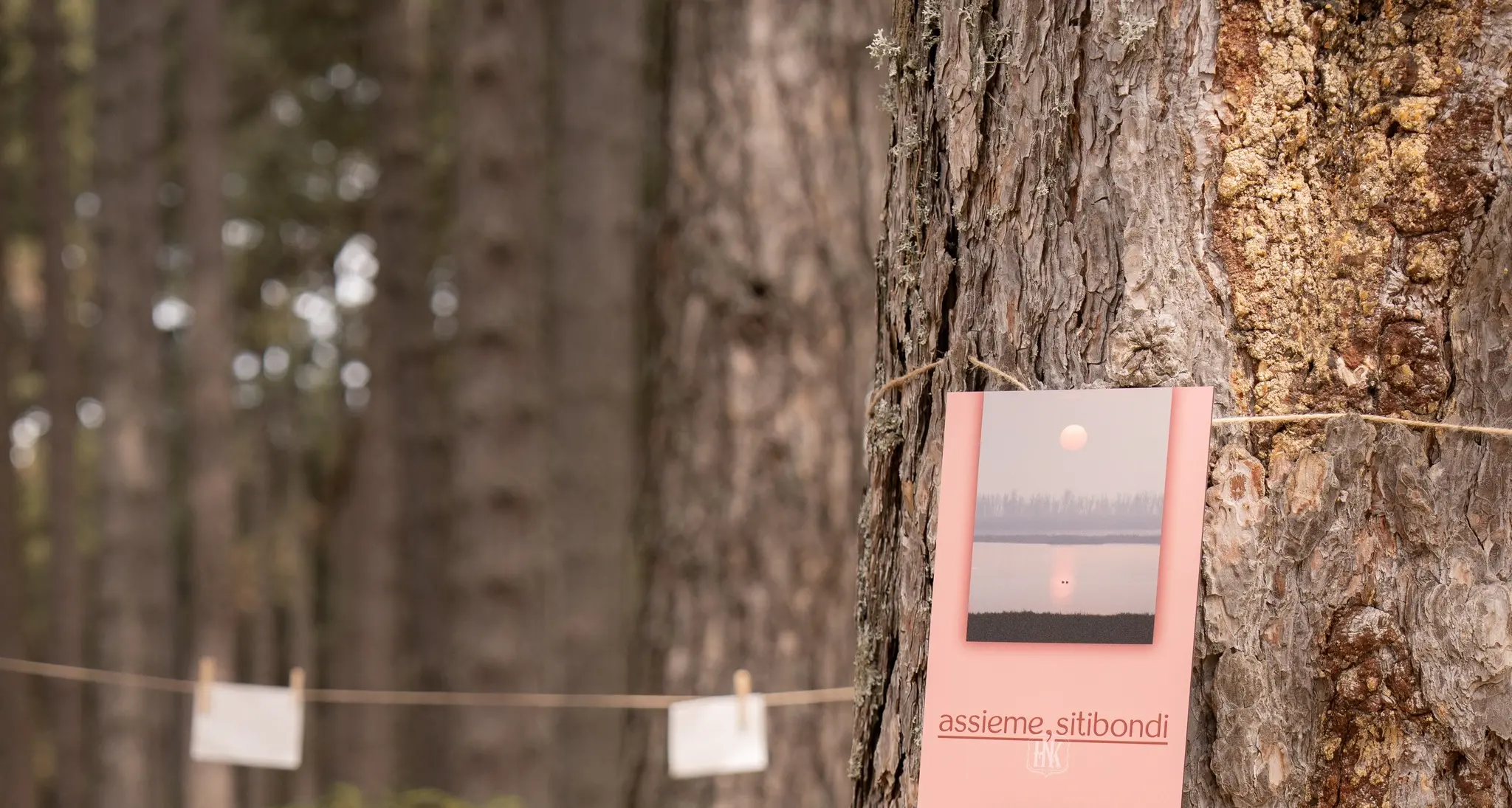 Dalla Sila all’Italia, le parole che diventano semi: l’Hyle Book Festival mette radici\n