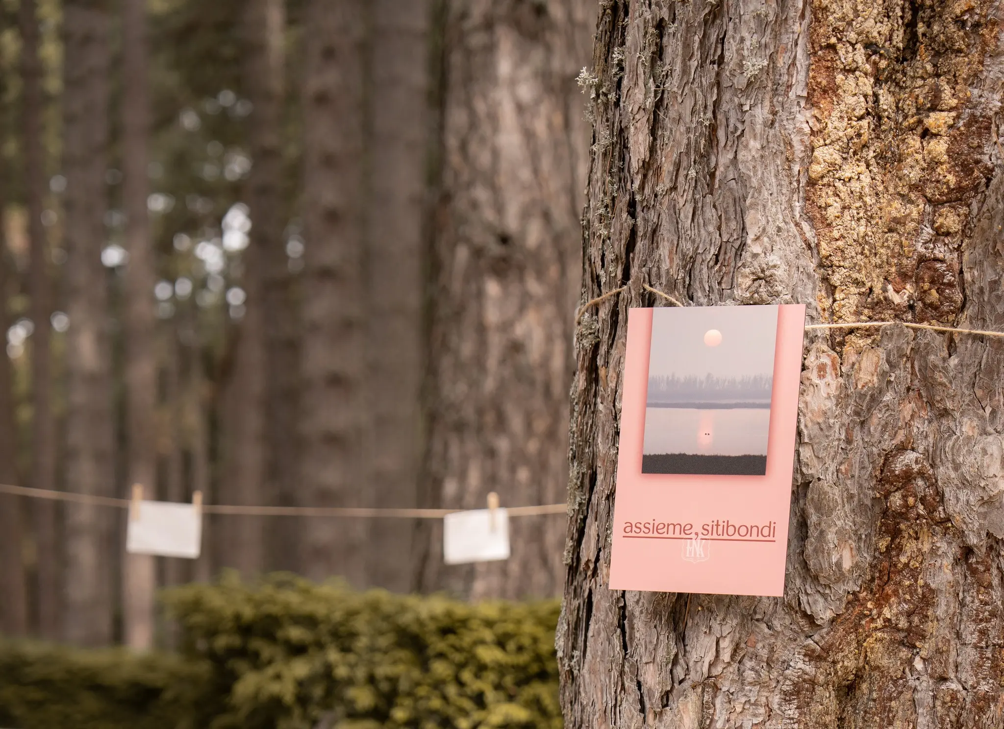 Dalla Sila all’Italia, le parole che diventano semi: l’Hyle Book Festival mette radici\n