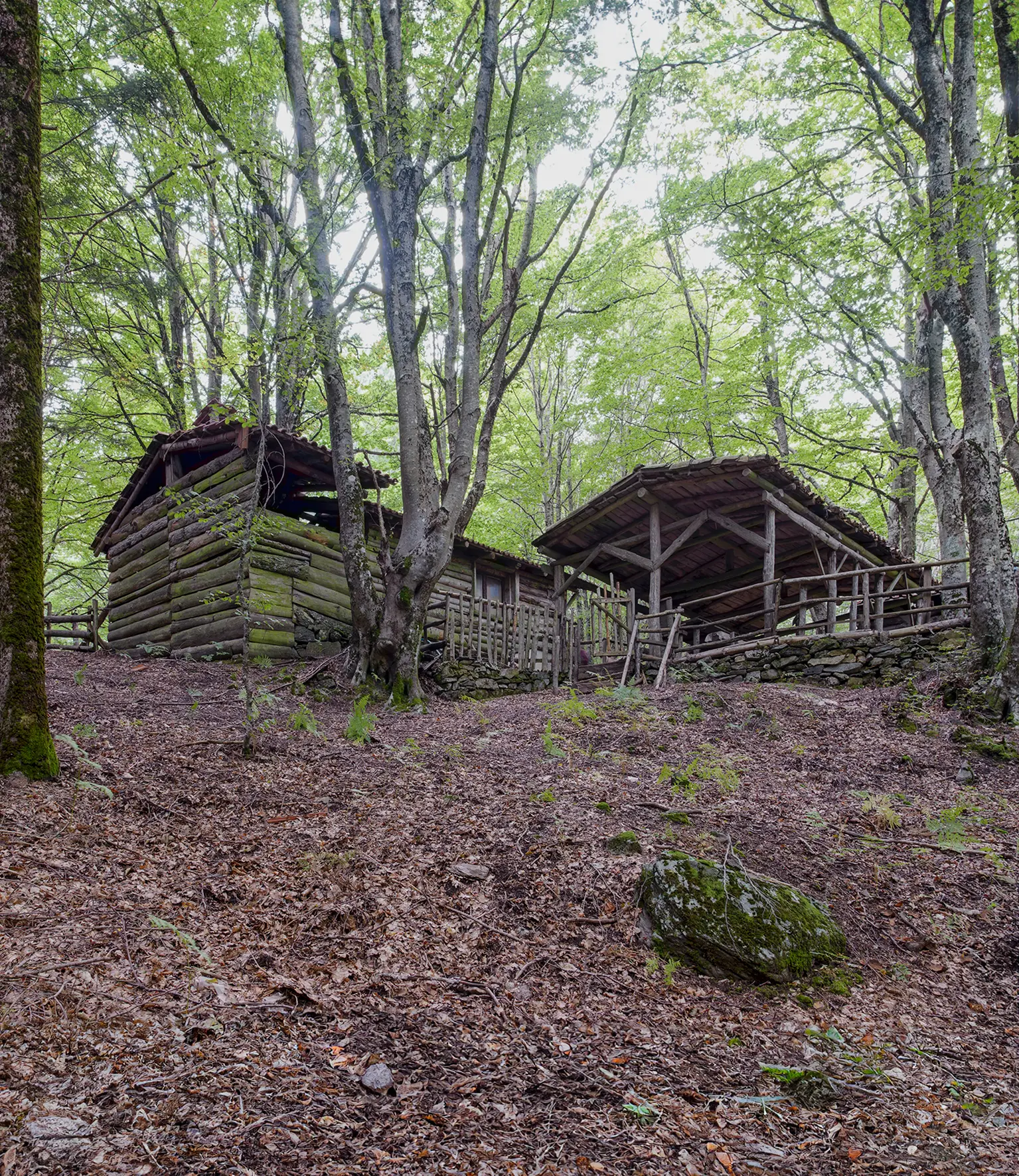 Aspromonte, il cammino dei rifugi tra memoria e paesaggio: un itinerario che attraversa boschi, fede e panorami senza tempo\n