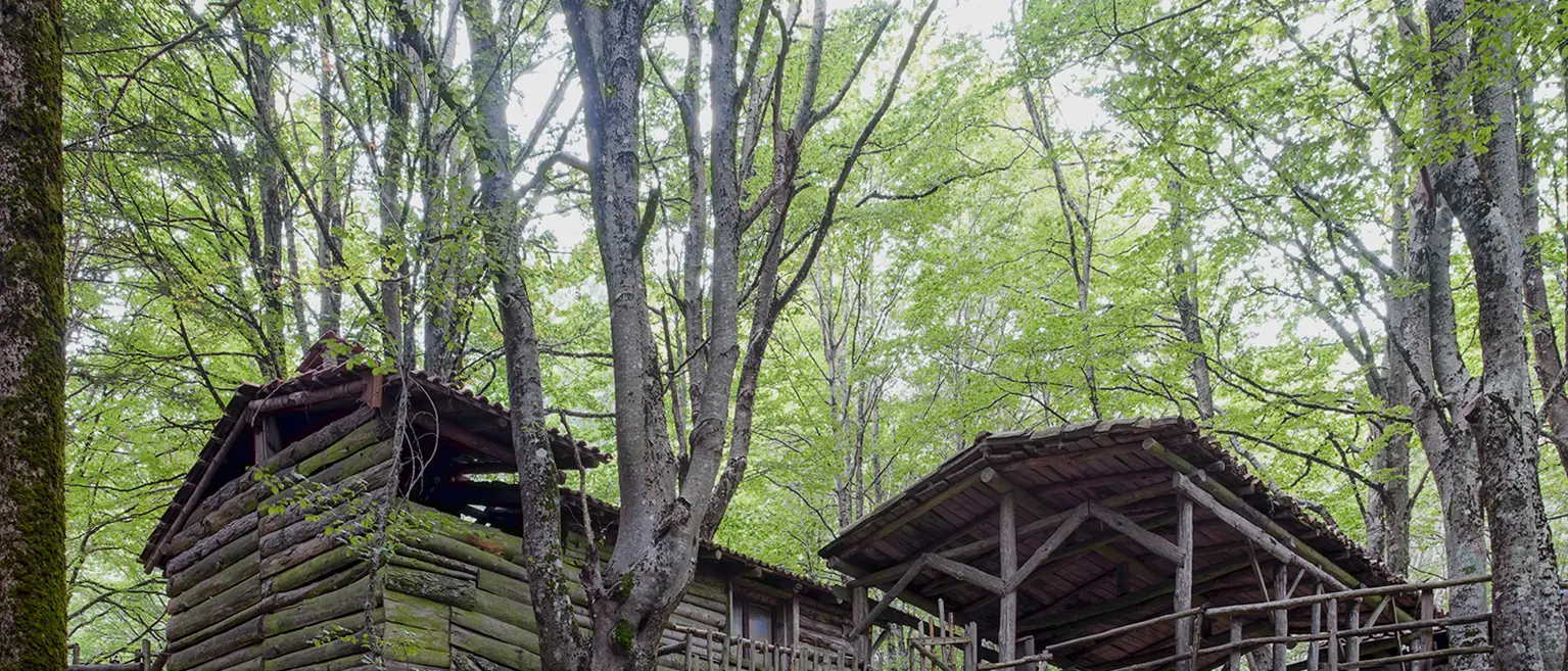 Aspromonte, il cammino dei rifugi tra memoria e paesaggio: un itinerario che attraversa boschi, fede e panorami senza tempo\n