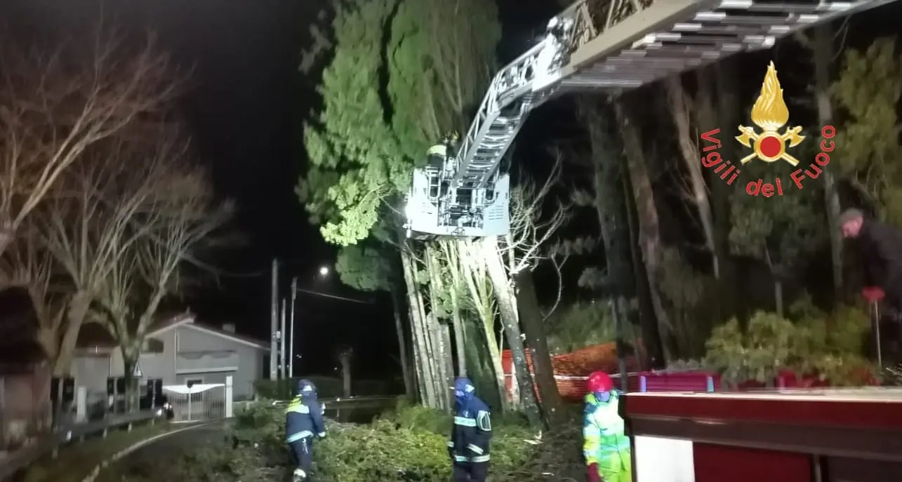 Sicurezza stradale e incolumità pubblica, intervento dei Vigili del Fuoco a Tiriolo\n