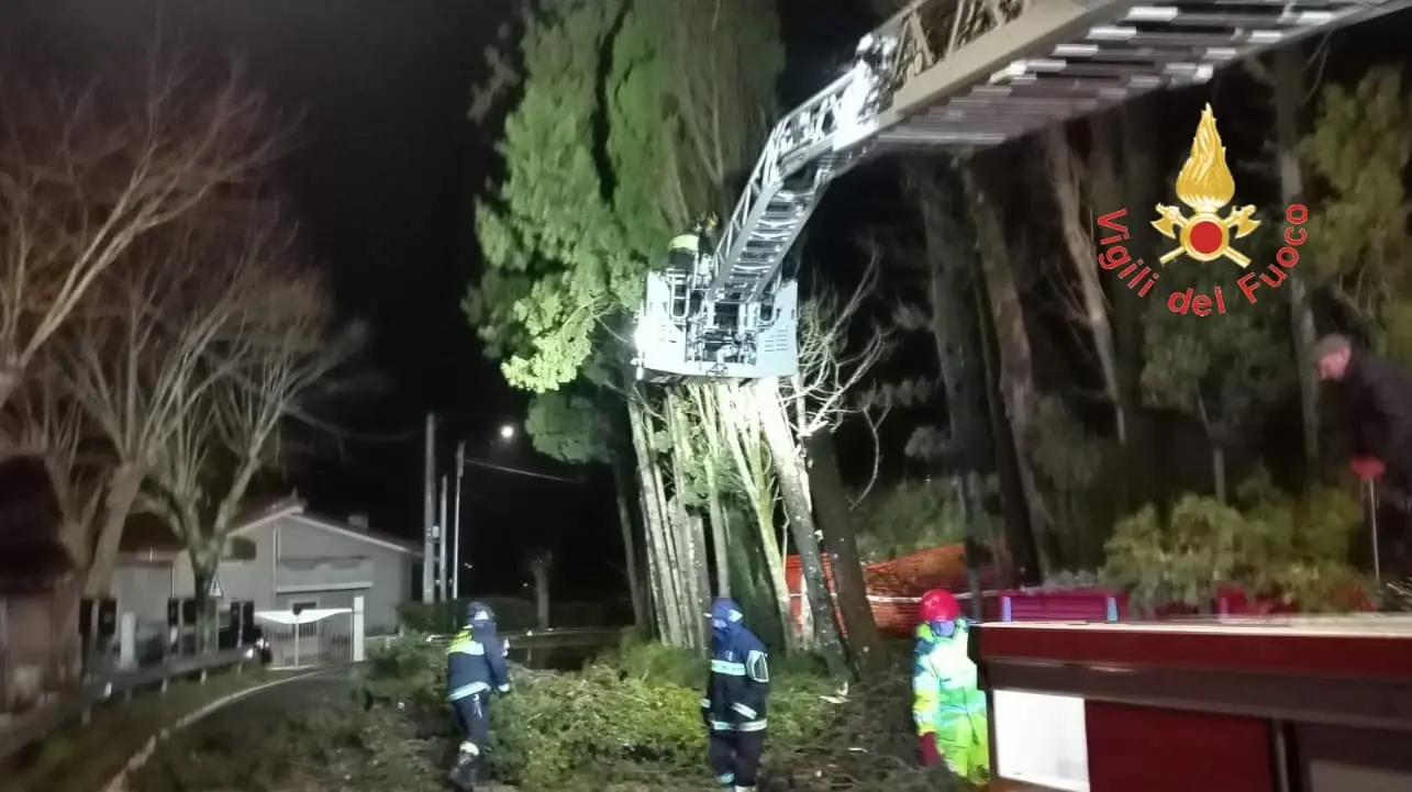 Sicurezza stradale e incolumità pubblica, intervento dei Vigili del Fuoco a Tiriolo\n