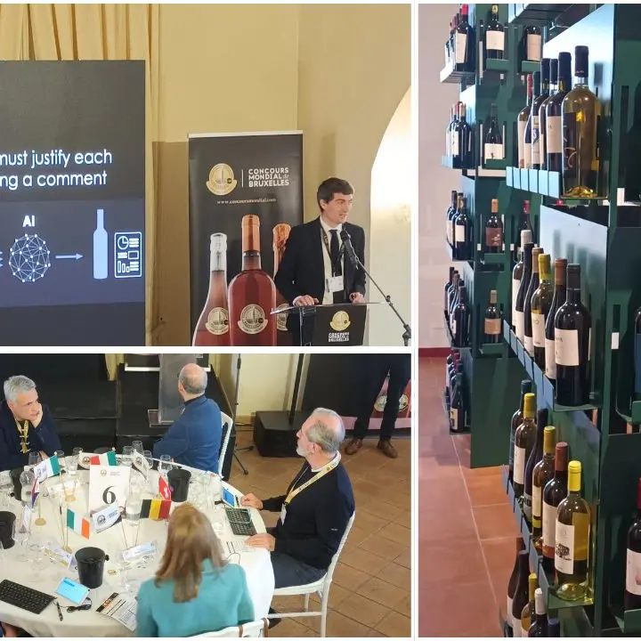 <p>Concours mondial de Bruxelles, i 55 giurati internazionali alla scoperta del territorio di Cirò</p>