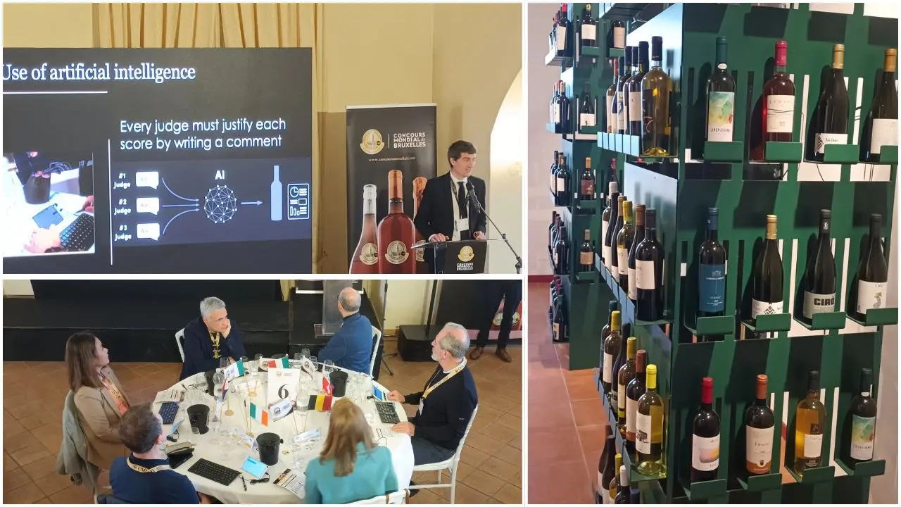 Concours mondial de Bruxelles, a Cirò la sessione dedicata ai vini rosati. Gianluca Gallo: «Calabria centro del mondo»\n