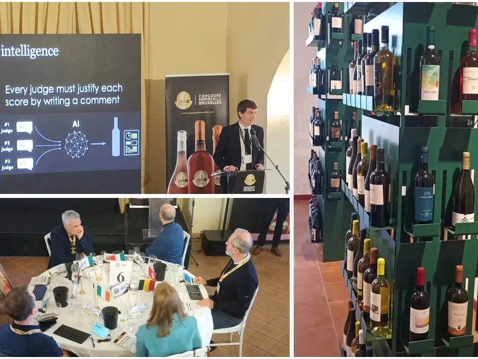 Concours mondial de Bruxelles, a Cirò la sessione dedicata ai vini rosati. Gianluca Gallo: «Calabria centro del mondo»