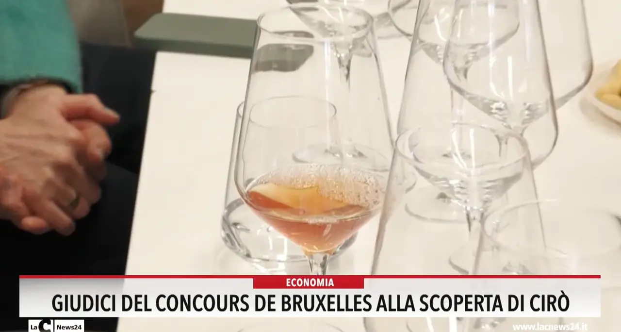 Giudici del Concours de Bruxelles alla scoperta di Cirò
