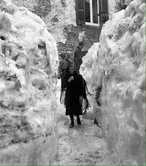 Immagine di una storica nevicata silana