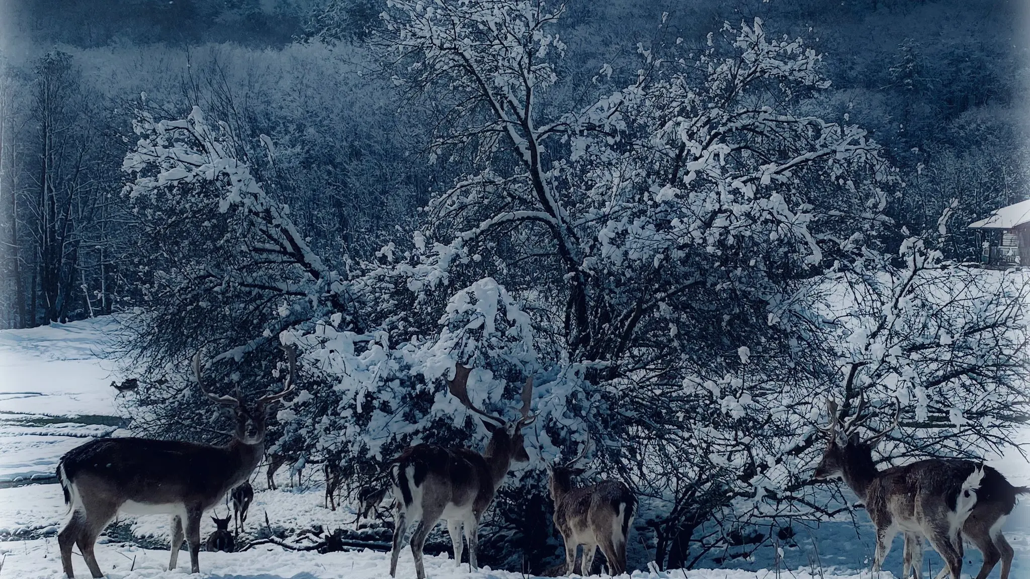 Foto di Antonio Perri