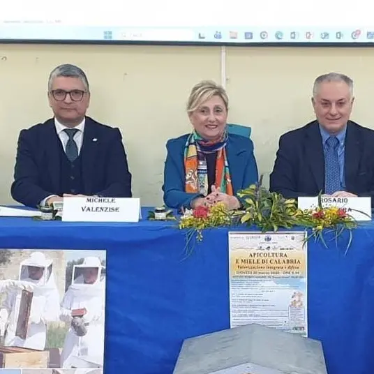 Apicoltura e miele di Calabria all'Istituto Einaudi Alvaro di Palmi\n