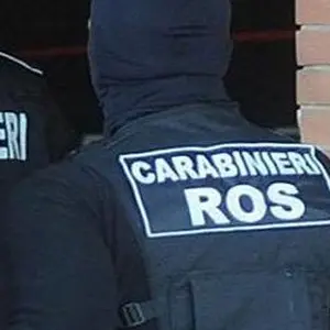 Progettava una strage a scuola ispirata a quella della Columbine: arrestato un 17enne a Perugia\n