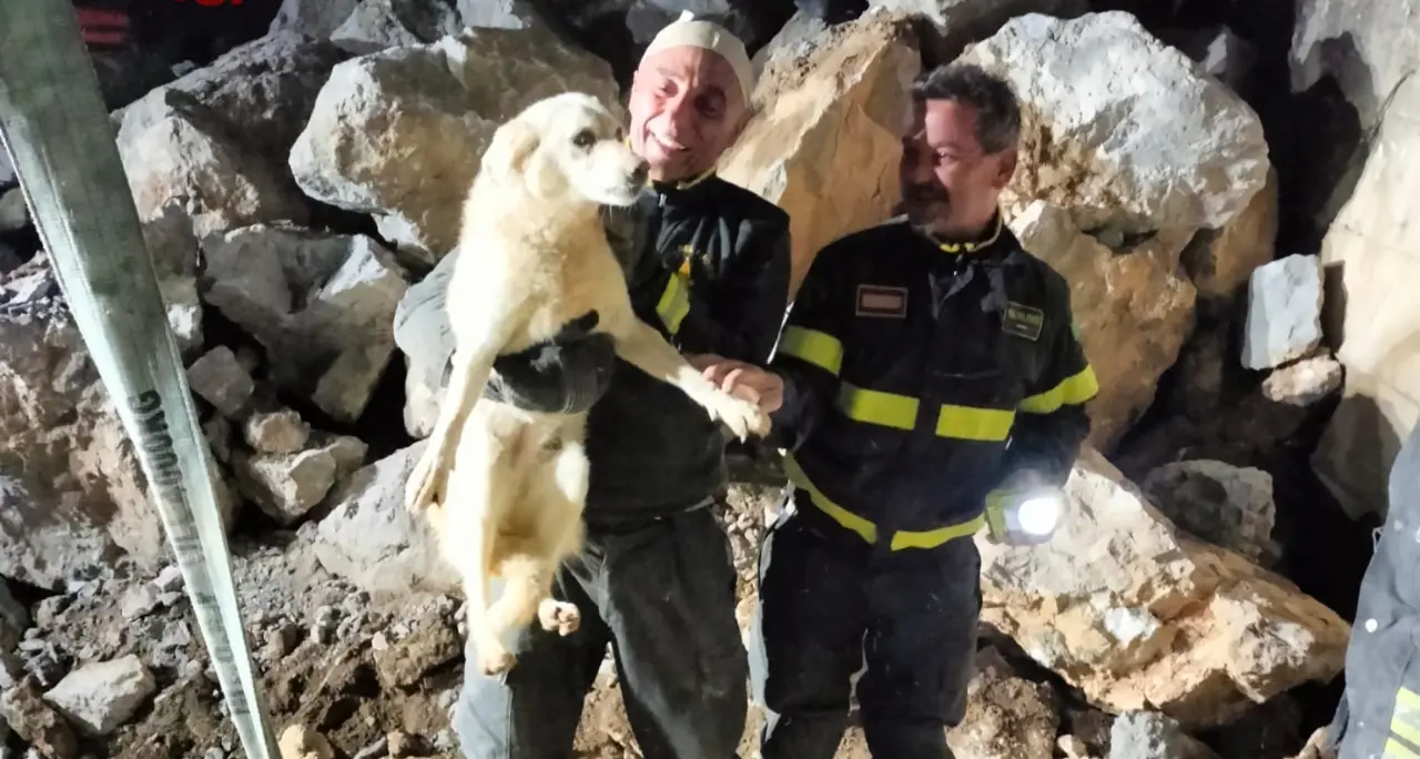 Schiavonea, cane salvato dai Vigili del Fuoco tra gli scogli del porto\n