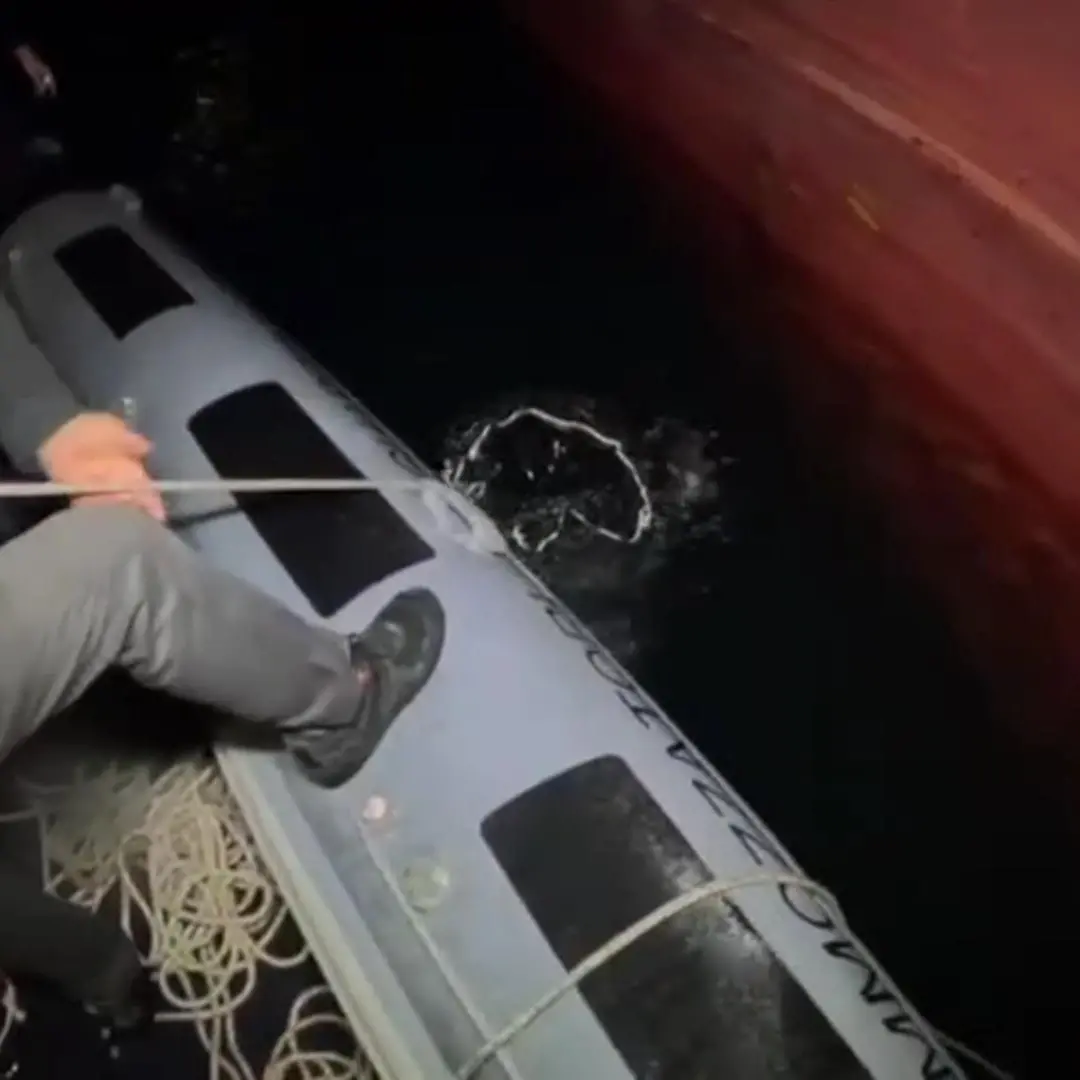 Quasi 400 chilogrammi di cocaina sequestrati al porto di Gioia Tauro