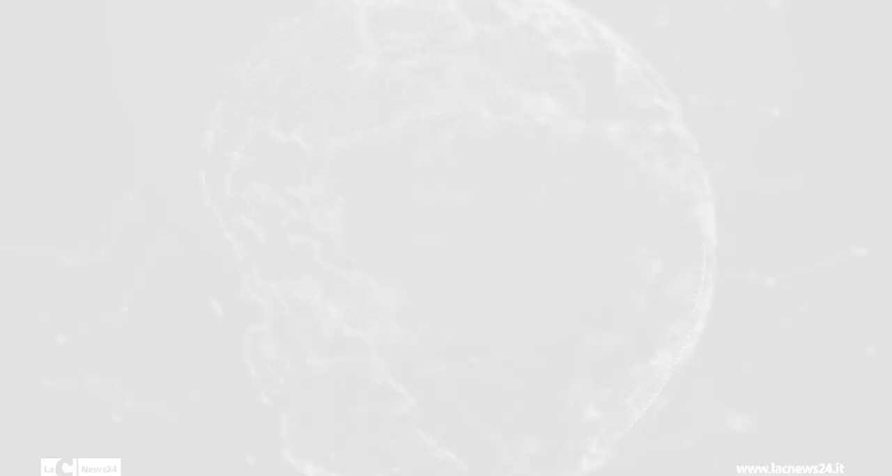 avis reggio e coni calabria siglano un intesa